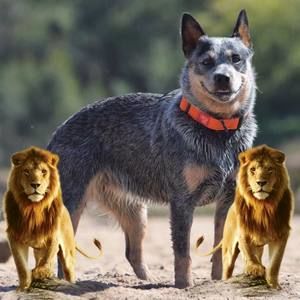 Meet your Posher, Kenneth